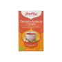 yogitea-zenzero-arancio-vanigl